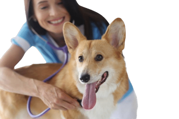 Rescue and Adoption Support - Image 2